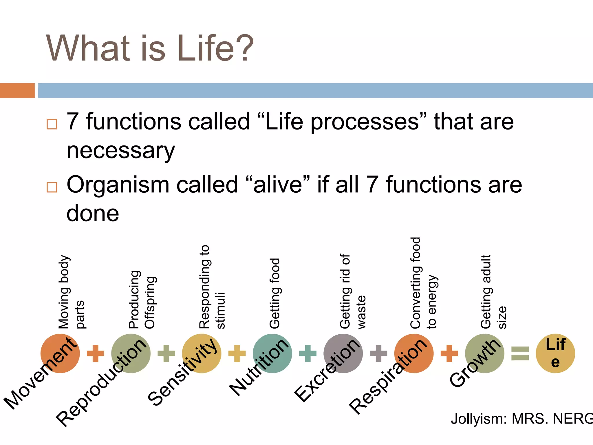 What is Life?
      7 functions called “Life processes” that are
       necessary
      Organism called “alive” if all 7 functions are
       done




                                                                              Converting food
                              Responding to




                                                             Getting rid of




                                                                                                   Getting adult
    Moving body




                                              Getting food
                  Producing




                                                                              to energy
                  Offspring




                              stimuli




                                                             waste
    parts




                                                                                                   size
                                                                                                                   Lif
                                                                                                                    e


                                                                                                Jollyism: MRS. NERG
 