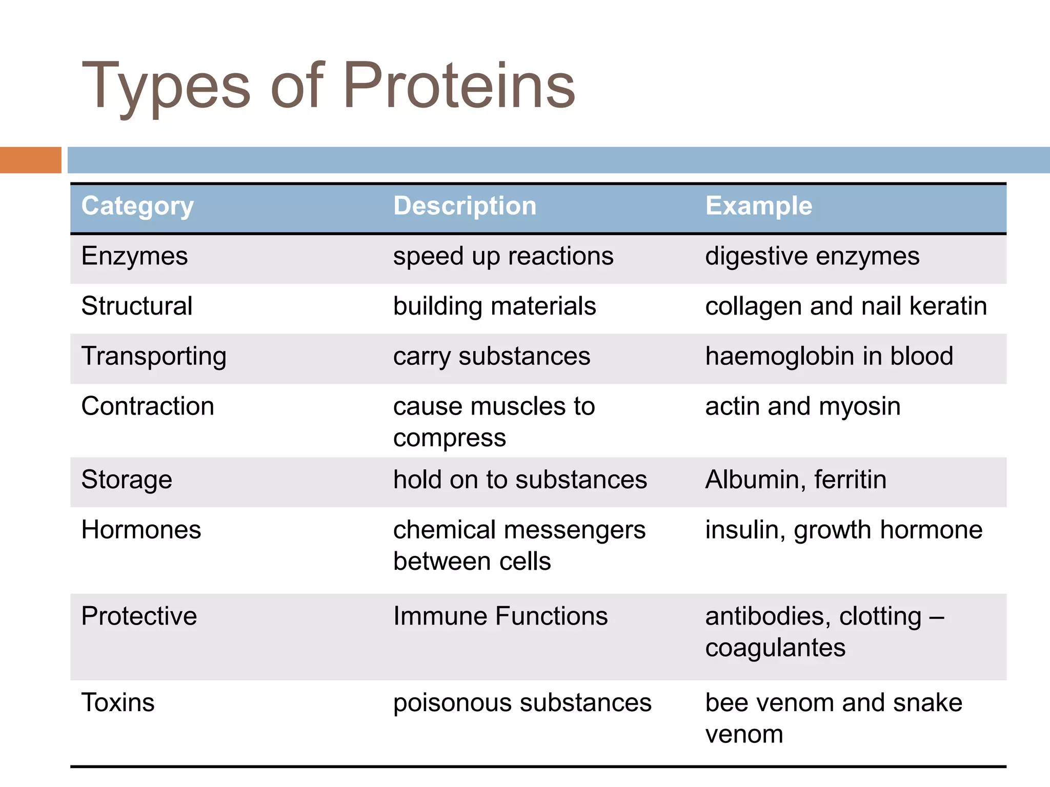 Types of Proteins
Category       Description             Example
Enzymes        speed up reactions      digestive enzymes
Structural     building materials      collagen and nail keratin
Transporting   carry substances        haemoglobin in blood
Contraction    cause muscles to        actin and myosin
               compress
Storage        hold on to substances   Albumin, ferritin
Hormones       chemical messengers     insulin, growth hormone
               between cells

Protective     Immune Functions        antibodies, clotting –
                                       coagulantes

Toxins         poisonous substances    bee venom and snake
                                       venom
 