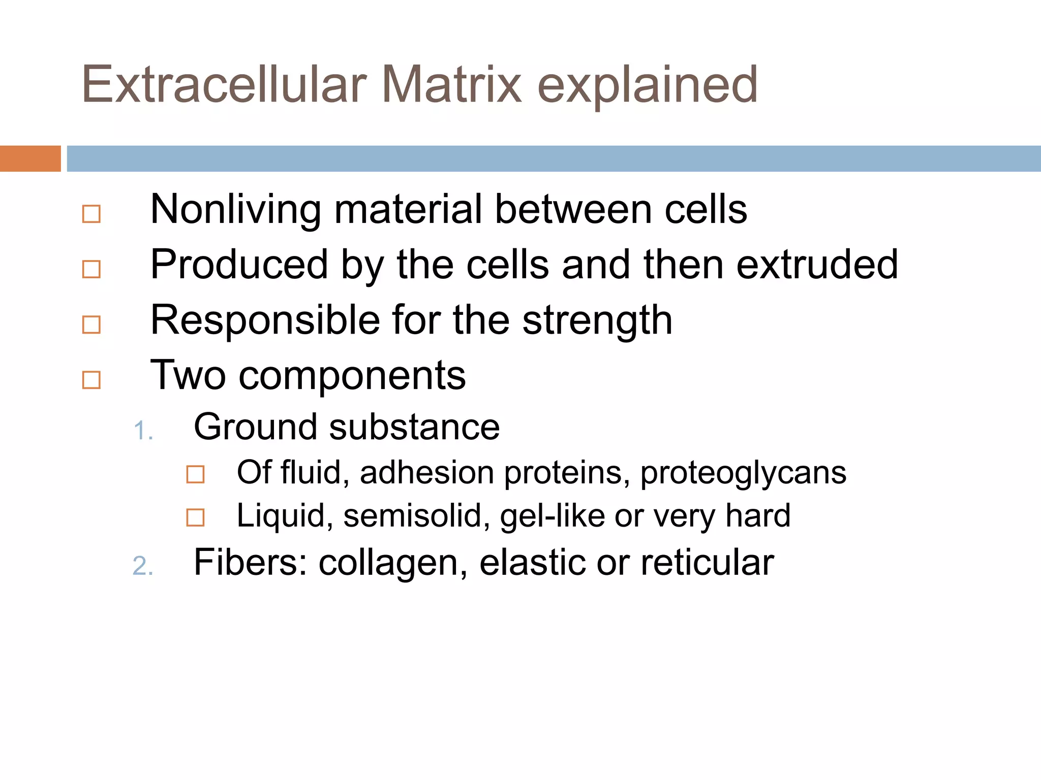 Extracellular Matrix explained

    Nonliving material between cells
    Produced by the cells and then extruded
    Responsible for the strength
    Two components
    1.   Ground substance
            Of fluid, adhesion proteins, proteoglycans
            Liquid, semisolid, gel-like or very hard
    2.   Fibers: collagen, elastic or reticular
 