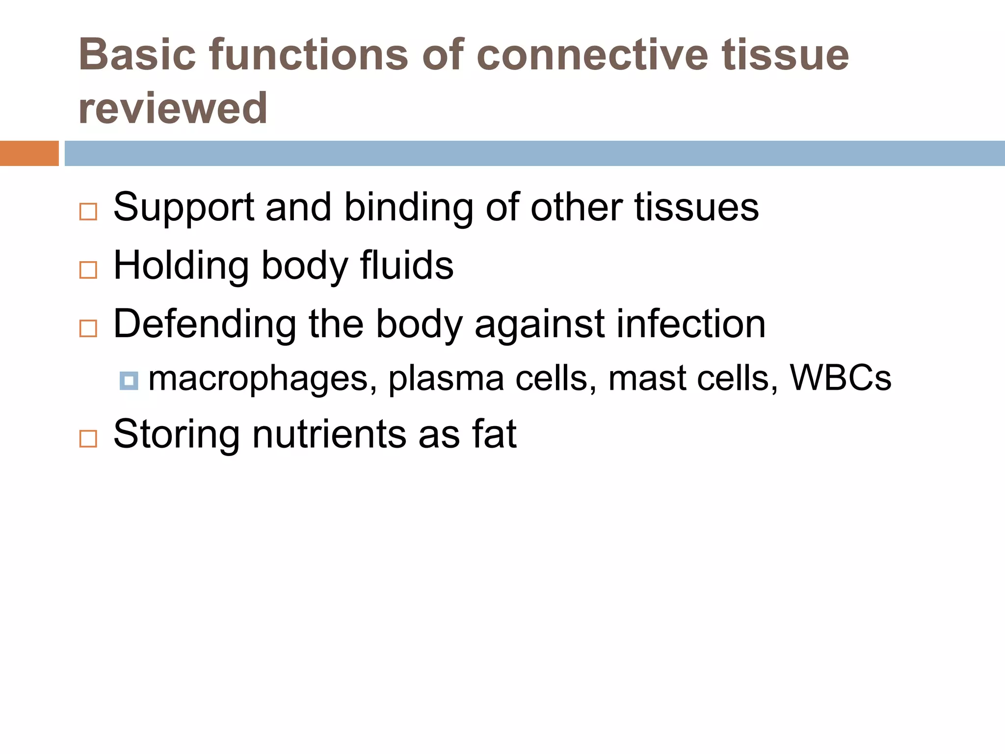 Basic functions of connective tissue
reviewed

   Support and binding of other tissues
   Holding body fluids
   Defending the body against infection
     macrophages,   plasma cells, mast cells, WBCs
   Storing nutrients as fat
 