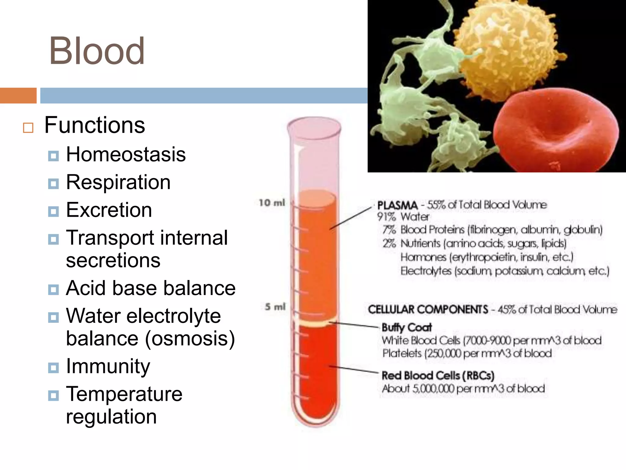Blood
   Functions
     Homeostasis
     Respiration
     Excretion
     Transport internal
      secretions
     Acid base balance
     Water electrolyte
      balance (osmosis)
     Immunity
     Temperature
      regulation
 