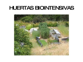 HUERTAS BIOINTENSIVAS 