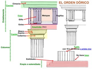 EL ORDEN DÓRICO 
Cimacio 
Ábaco 
Equino 
Krepis o estereóbato 
No tiene basa 
Estilóbato 
Collarino 
Entablamento 
Friso 
Cornisa 
Capitel 
Columna Fuste, 
con 16 ó 20 estrías a arista viva 
Metopas 
Glifo 
Gotas 
Triglifos 
Arquitrabe (liso) 
 