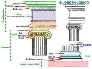EL ORDEN JÓNICO 
Cimacio 
Goterón 
Ábaco 
Ova 
Astrágalo 
Krepis o estereóbato 
basa 
Estilóbato 
Voluta 
Entablamento 
Friso 
Cornisa 
(liso o con decoración continua) 
Capitel 
Columna 
Fuste, 
con 24 estrías a listeles 
Platabandas 
Arquitrabe (escalonado) 
Toro 
Escocia 
Plinto 
Dentículos 
 