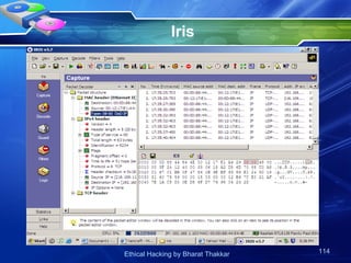 Iris 