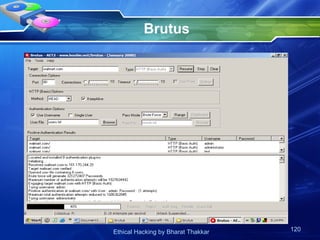 Brutus 