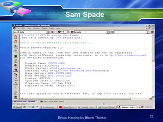 Sam Spade 