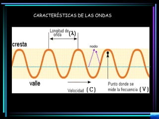 CARACTERÍSTICAS DE LAS ONDAS
nodo
 