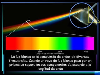 La luz blanca está compuesta de ondas de diversas
frecuencias. Cuando un rayo de luz blanca pasa por un
prisma se separa en sus componentes de acuerdo a la
longitud de onda
 