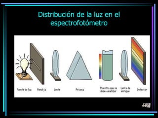 Distribución de la luz en el
espectrofotómetro
 