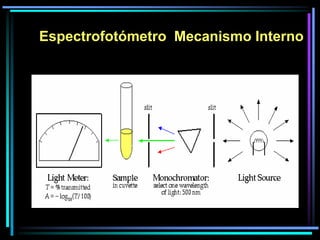 Espectrofotómetro Mecanismo Interno
 