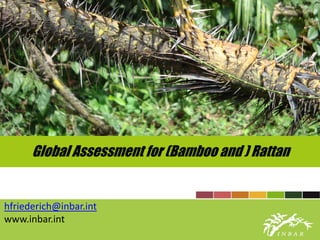 Global Assessment for (Bamboo and ) Rattan
hfriederich@inbar.int
www.inbar.int
 