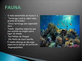 
O máis salientable da fauna é a

Tartaruga Laúd (o réptil máis
grande do mundo).

Única tartaruga sen caparazón
duro.

Tamén algunhas especies que
non existen en ningún outro
lugar do mundo .

Pez Pallaso de Chagos.

Illa Ninfa de Caurí mariña.

E tamén alberga as súa auga
especies en perigo de extinción:
Dugongo(balea)
 