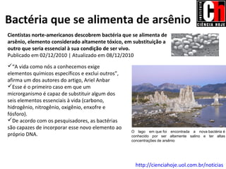 Bactéria que se alimenta de arsênio
Cientistas norte-americanos descobrem bactéria que se alimenta de
arsênio, elemento considerado altamente tóxico, em substituição a
outro que seria essencial à sua condição de ser vivo.
Publicado em 02/12/2010 | Atualizado em 08/12/2010
“A vida como nós a conhecemos exige
elementos químicos específicos e exclui outros”,
afirma um dos autores do artigo, Ariel Anbar
Esse é o primeiro caso em que um
microrganismo é capaz de substituir algum dos
seis elementos essenciais à vida (carbono,
hidrogênio, nitrogênio, oxigênio, enxofre e
fósforo).
De acordo com os pesquisadores, as bactérias
são capazes de incorporar esse novo elemento ao
                                                   O lago em que foi encontrada a nova bactéria é
próprio DNA.                                       conhecido por ser altamente salino e ter altas
                                                   concentrações de arsênio




                                                     http://cienciahoje.uol.com.br/noticias
 