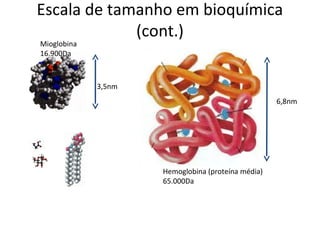 Escala de tamanho em bioquímica
             (cont.)
Mioglobina
16.900Da



             3,5nm
                                                    6,8nm




                     Hemoglobina (proteína média)
                     65.000Da
 