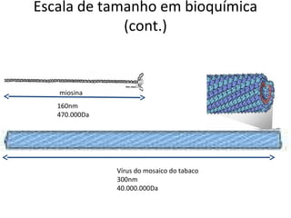 Escala de tamanho em bioquímica
             (cont.)


   miosina
   160nm
   470.000Da




               Vírus do mosaico do tabaco
               300nm
               40.000.000Da
 