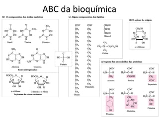 ABC da bioquímica
 