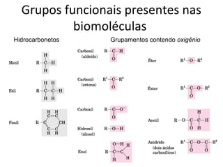 Grupos funcionais presentes nas
           biomoléculas
Hidrocarbonetos   Grupamentos contendo oxigênio
 
