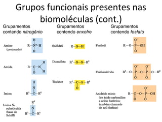 Grupos funcionais presentes nas
           biomoléculas (cont.)
Grupamentos           Grupamentos        Grupamentos
contendo nitrogênio   contendo enxofre   contendo fosfato
 