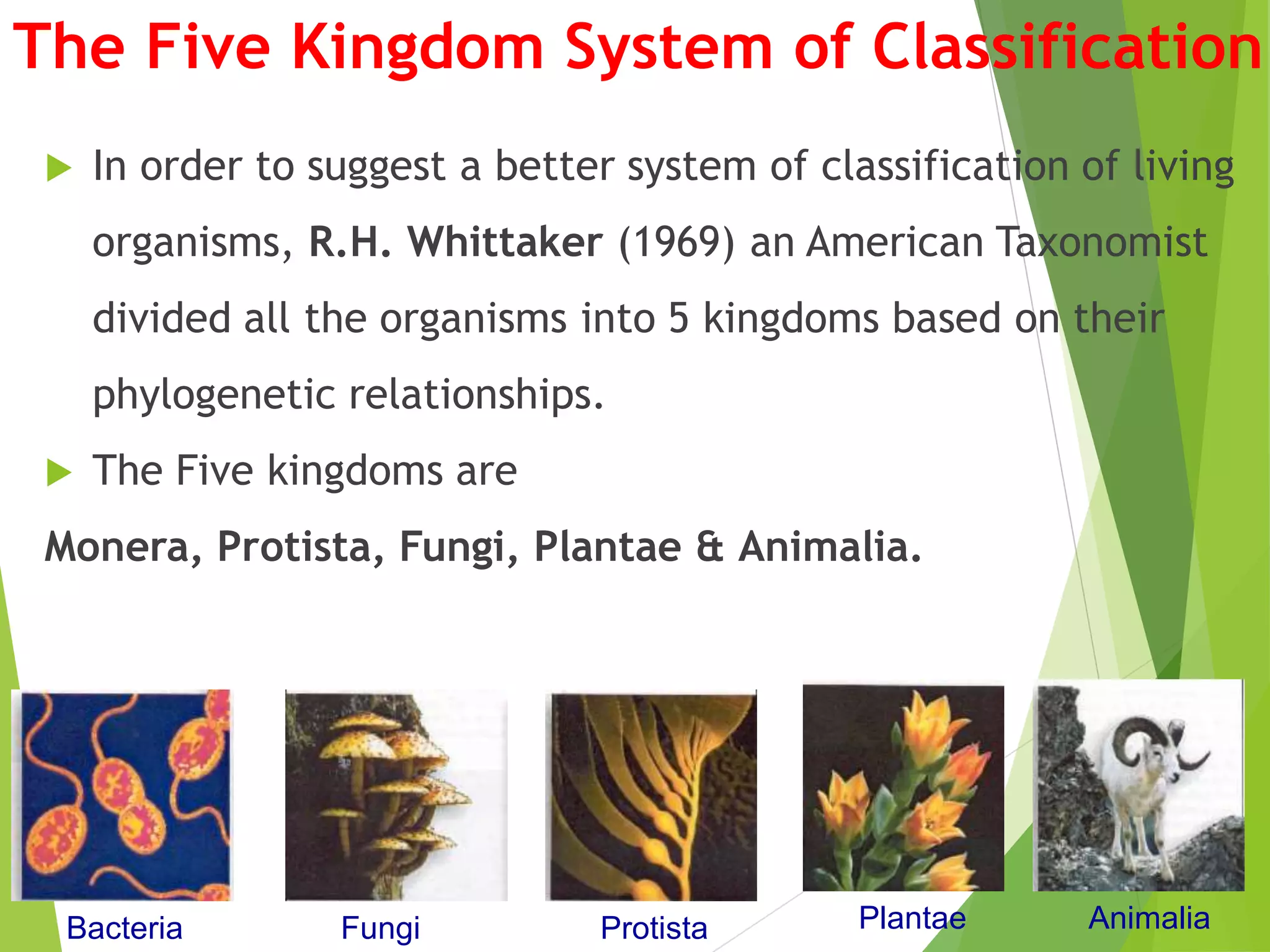 The Five Kingdom System of Classification
 In order to suggest a better system of classification of living
organisms, R.H. Whittaker (1969) an American Taxonomist
divided all the organisms into 5 kingdoms based on their
phylogenetic relationships.
 The Five kingdoms are
Monera, Protista, Fungi, Plantae & Animalia.
Bacteria ProtistaFungi Plantae Animalia
 