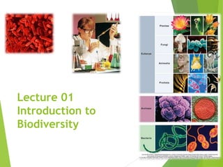 Lecture 01
Introduction to
Biodiversity
 