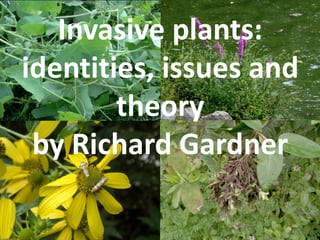 Invasive plants:
identities, issues and
theory
by Richard Gardner

 