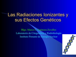 Las Radiaciones Ionizantes y sus Efectos Genéticos Blgo. Marco E. Espinoza Zevallos Laboratorio de Citogenética y Radiobiología Instituto Peruano de Energía Nuclear 