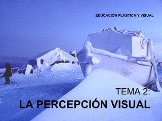 TEMA 2: LA PERCEPCIÓN VISUAL EDUCACIÓN PLÁSTICA Y VISUAL  