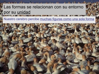 Las formas se relacionan con su entorno por su unidad Nuestro cerebro percibe muchas figuras como una sola forma