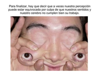 Para finalizar, hay que decir que a veces nuestra percepción puede estar equivocada por culpa de que nuestros sentidos y nuestro cerebro no cumplen bien su trabajo.