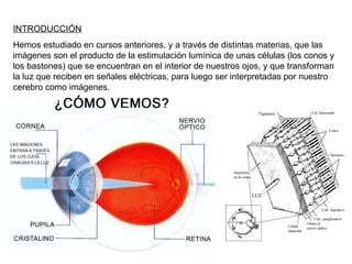 INTRODUCCIÓN Hemos estudiado en cursos anteriores, y a través de distintas materias, que las imágenes son el producto de la estimulación lumínica de unas células (los conos y los bastones) que se encuentran en el interior de nuestros ojos, y que transforman la luz que reciben en señales eléctricas, para luego ser interpretadas por nuestro cerebro como imágenes. 