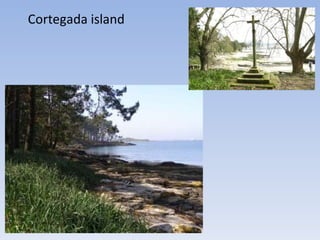 Cortegada island 