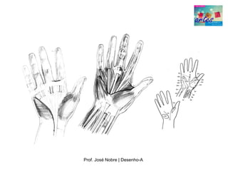 Prof. José Nobre | Desenho­A
 