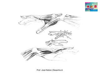 Prof. José Nobre | Desenho­A
 