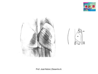 Prof. José Nobre | Desenho­A
 