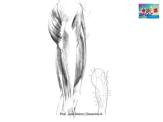 Prof. José Nobre | Desenho­A
 
