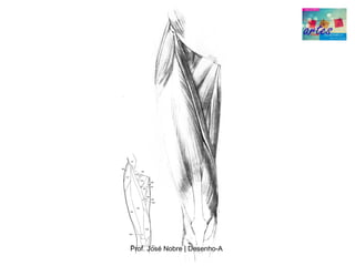 Prof. José Nobre | Desenho­A
 
