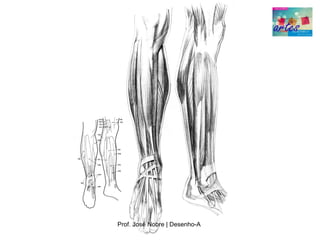 Prof. José Nobre | Desenho­A
 
