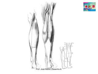 Prof. José Nobre | Desenho­A
 