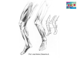 Prof. José Nobre | Desenho­A
 