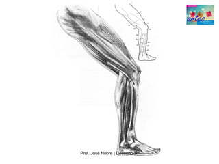 Prof. José Nobre | Desenho­A
 