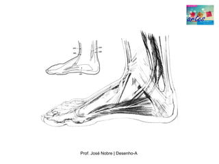 Prof. José Nobre | Desenho­A
 