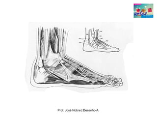 Prof. José Nobre | Desenho­A
 