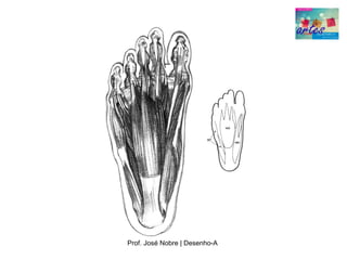 Prof. José Nobre | Desenho­A
 