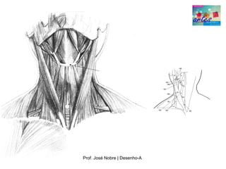 Prof. José Nobre | Desenho­A
 