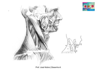 Prof. José Nobre | Desenho­A
 