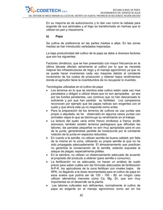 ESTUDIO A NIVEL DE PERFIL
MEJORAMIENTO DEL SERVICIO DE AGUA
DEL SISTEMA DE RIEGO MENOR ULLCUCOCHA, DISTRITO DE HUASTA, PROVINCIA DE BOLOGNESI, REGIÓN ANCASH
82
En su mayoría es de autoconsumo y lo dan uso como la cebada para
engorde de sus a{nimales y el trigo es transformado en harinas que lo
utilizan en pan y mazamorra.
b) Papa
Se cultiva de preferencia en las partes medias a altas. En las zonas
medias se han introducido variedades mejoradas.
La baja productividad del cultivo de la papa se debe a diversos factores
que son los siguientes:
Factores climáticos; que se han presentado con mayor frecuencia en la
última década afectan seriamente al cultivo por lo que se necesita
mejorar las infraestructuras de riego y el manejo agronómico ya que no
se puede hacer inversiones cada vez mayores debido al constante
incremento de los costos de producción y obtener bajos rendimientos
donde el agricultor tiene la incertidumbre de no recuperar lo invertido.
Tecnologías utilizadas en el cultivo de papa
 Los terrenos en lo que se siembra este cultivo están cada vez mas
parcelados y obligan a utilizar áreas que no son apropiadas, ya sea
por las fuertes pendientes, uso continuo que no han descansado lo
suficiente y por que han perdido su fertilidad. Los campesinos
reconocen por ejemplo que las papas nativas son exigentes con el
suelo y que ahora este ya no responde como antes.
 Para la preparación de los terrenos de cultivos se usa yuntas sea
propio o alquilada, se ha observado en algunos casos yuntas con
animales viejos lo que se disminuye su rendimiento en el trabajo.
 La textura del suelo varía entre franco arcillosos a franco arcillo
arenosos; también existen terrenos pedregosos que dificultan las
labores. las parcelas pequeñas no son muy apropiadas para el uso
de la yunta, generándose perdida de horas/yunta por la constante
rotación de la yunta en espacios reducidos.
 En cuanto a la semilla, no utilizan semilla de buena calidad; por falta
de la misma en la zona, utilizando su propia semilla la que no ha
sido propagada adecuadamente. El almacenamiento que practican
no garantiza la conservación de la semilla, estando expuesta al
ataque de plagas; especialmente polillas.
 En la siembra, no utilizan un distanciamiento adecuado de acuerdo
al propósito del producto a obtener (para semilla o consumo).
 La fertilización no es adecuada, no hacen un análisis de suelo
previo para saber cuáles son las fórmulas adecuadas de fertilización
N-P-K, los agricultores de la zona fertilizan con niveles bajos de
NPK, no llegando a la dosis recomendada para el cultivo de papa en
esos suelos que podría ser de 120 - 100 - 80. en ningún caso
utilizan elementos menores como Ca, Mg, Zn, que son muy
importantes en el desarrollo se la planta.
 Las labores culturales son deficientes; normalmente el cultivo de
papa es exigente en el manejo agronómico como así en los
 