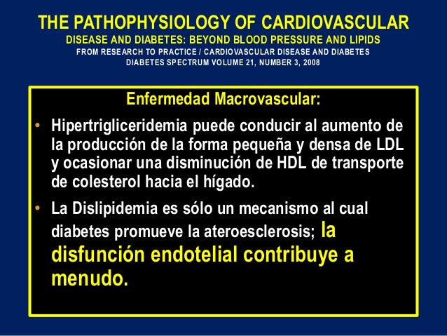 Perlas en alteraciones fisiopatológicas en el síndrome Perlas en alteraciones fisiopatológicas en el síndrome