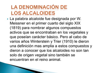 Alcaloides | PPTX