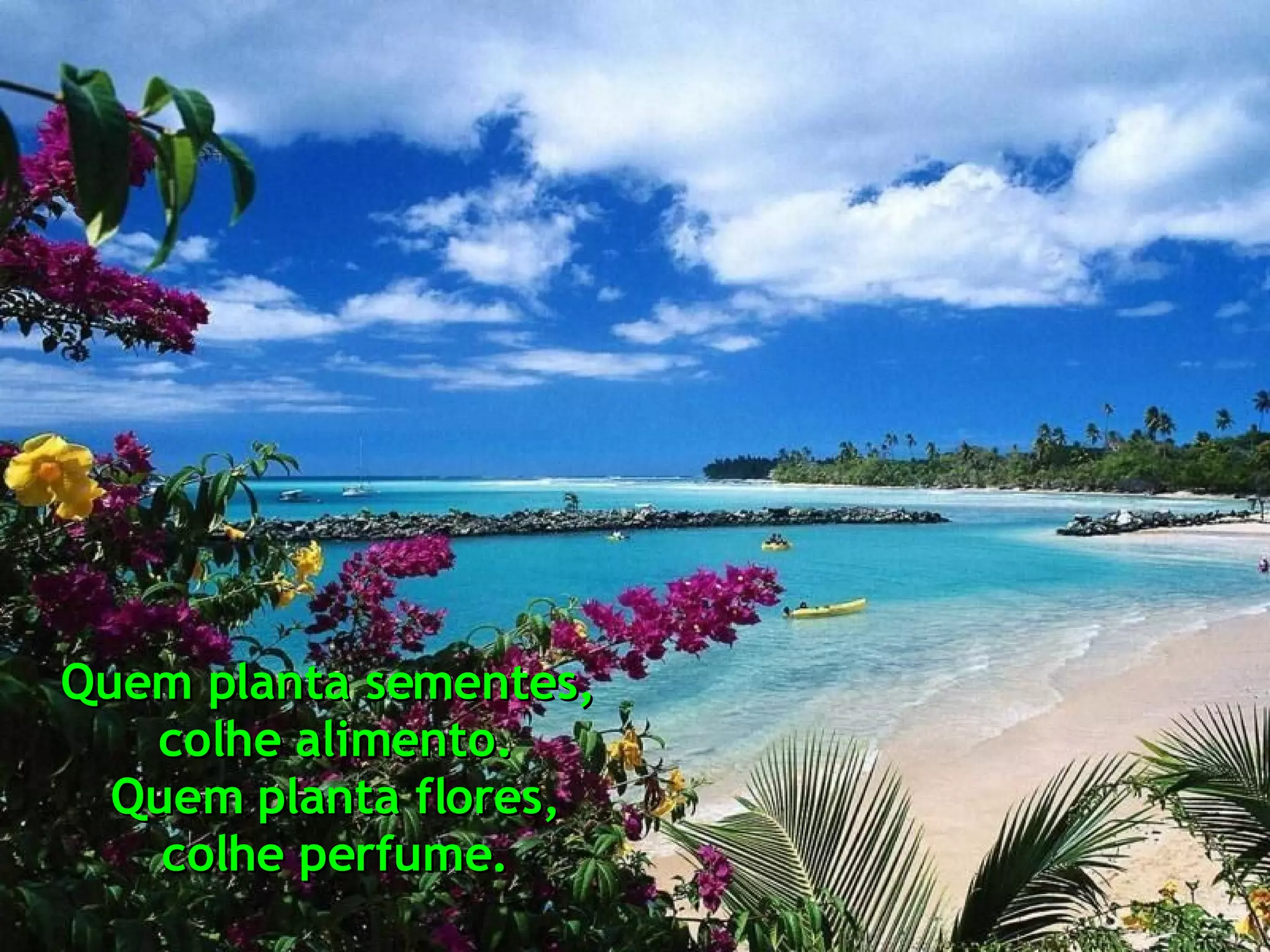 Quem planta sementes, colhe alimento. Quem planta flores, colhe perfume.